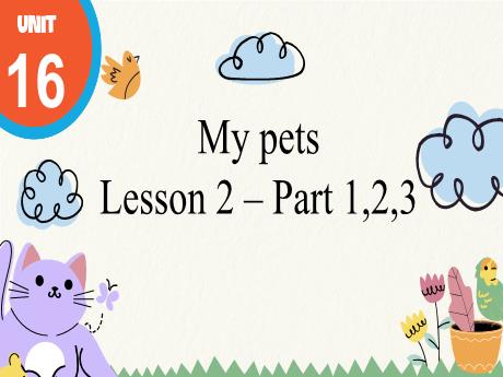 Bài giảng Tiếng Anh 3 - Unit 16: My pets - Lesson 2 - Period 3