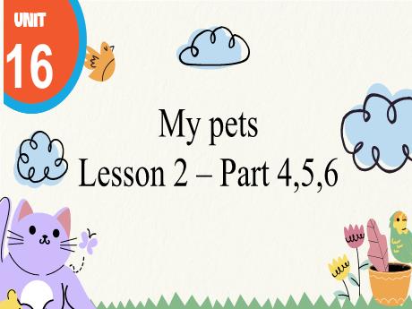 Bài giảng Tiếng Anh 3 - Unit 16: My pets - Lesson 2 - Period 4