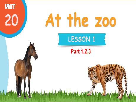 Bài giảng Tiếng Anh 3 - Unit 20: At the zoo - Lesson 1 - Period 1