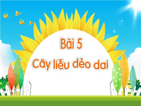 Bài giảng Tiếng Việt 1 - Bài 5: Cây liễu dẻo dai - Trường Tiểu học Đại Bản 2