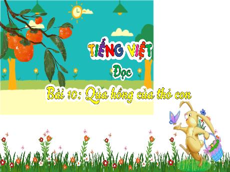 Bài giảng Tiếng Việt 3 (Tập đọc) - Bài 10: Quả hồng của thỏ con