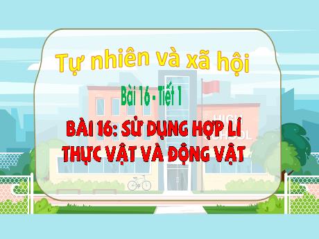 Bài giảng Tự nhiên & Xã hội 3 - Bài 16: Sử dụng hợp lí thực vật và động vật (Tiết 1)