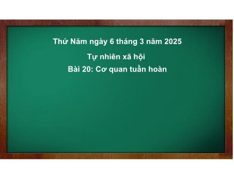 Bài giảng Tự nhiên & Xã hội 3 - Bài 20: Cơ quan tuần hoàn - Năm học 2024-2025 - Trường Tiểu học Đoàn Lập