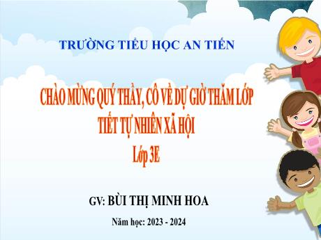 Bài giảng Tự nhiên & Xã hội 3 - Bài 7: Các bộ phận của thực vật (Tiết 2) - Năm học 2023-2024 - Bùi Thị Minh Hoa